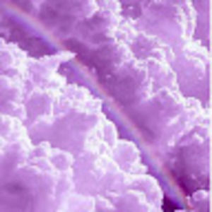 Meet your Posher, Joslynn